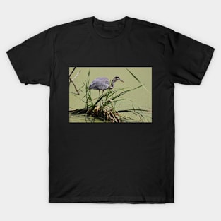 A Great Blue Heron T-Shirt